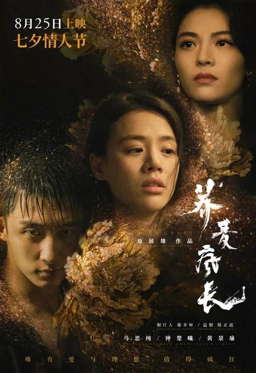南佐治亚州立学院文凭毕业证样本照片